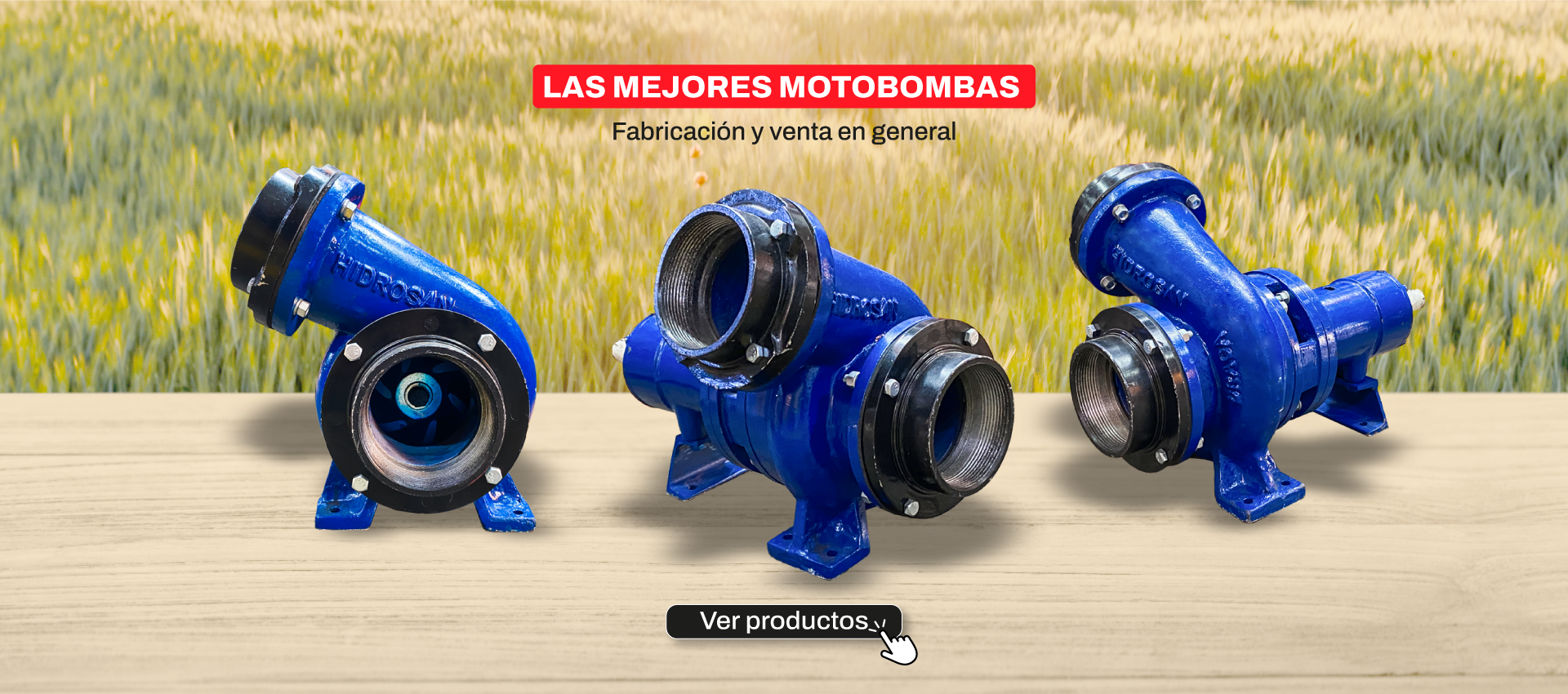 Inicio motobombas51